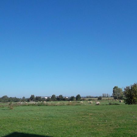 Manoir De Coulandon Otel Argentan Dış mekan fotoğraf