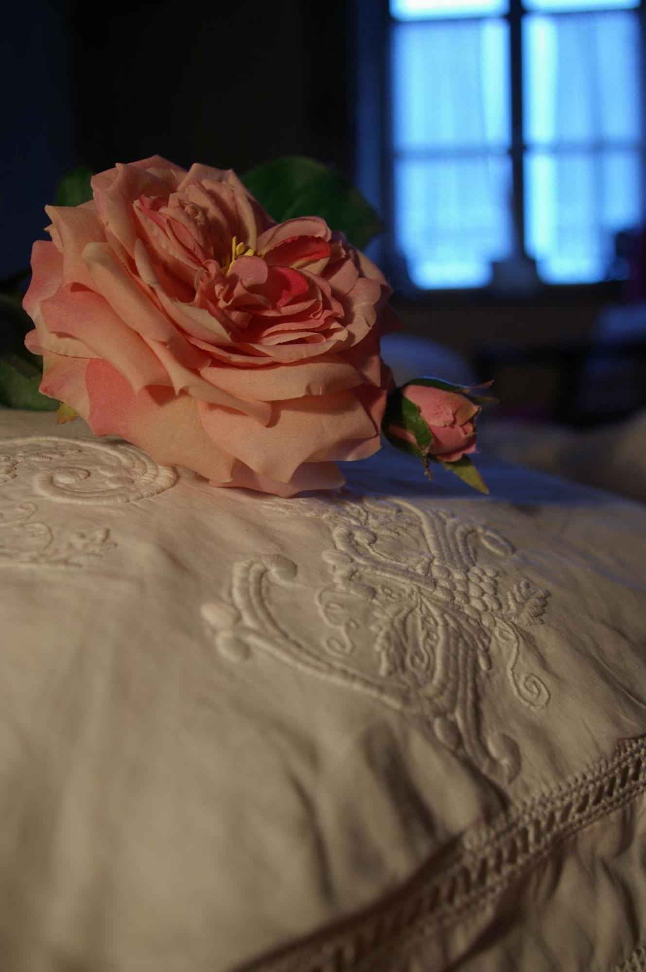Manoir De Coulandon Otel Argentan Dış mekan fotoğraf
